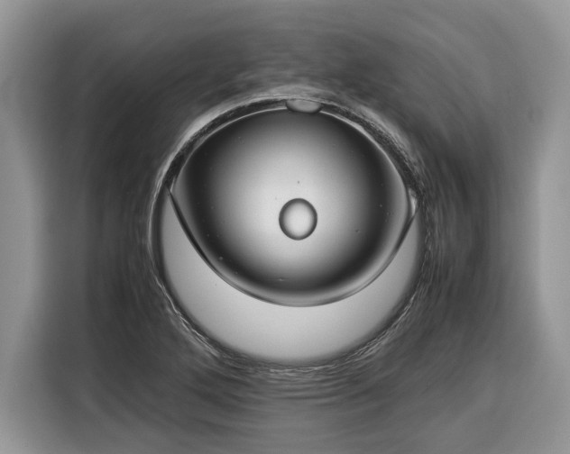 X0000116371272200912091230