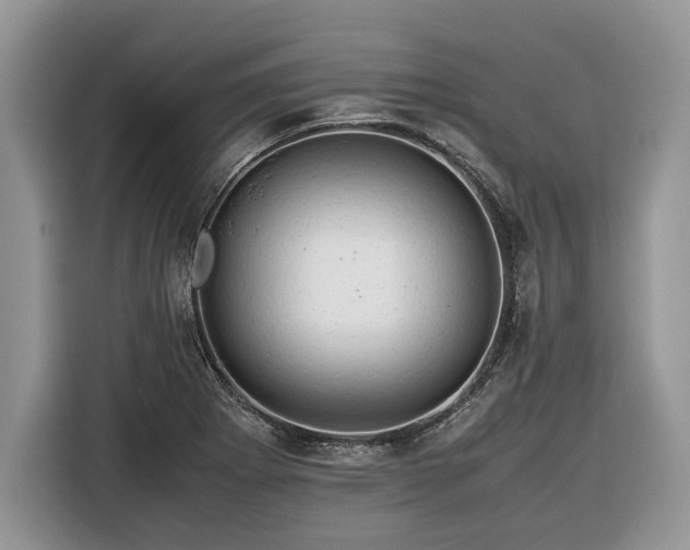 X0000116371273200912091230