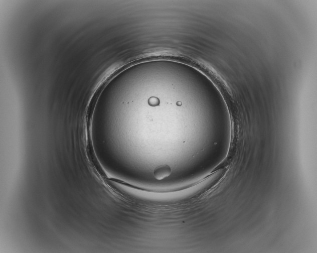 X0000116371274200912091230