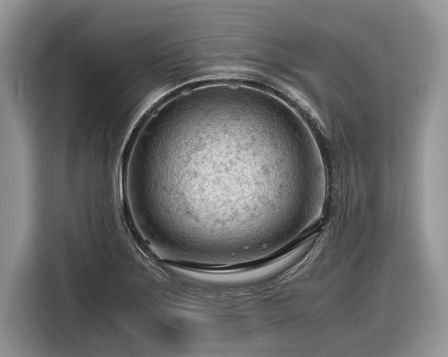 X0000116371275200912091230