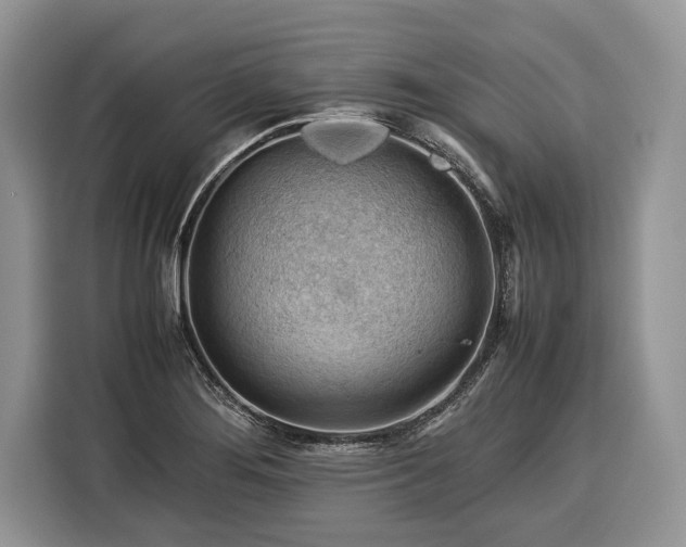 X0000116371276200912091230