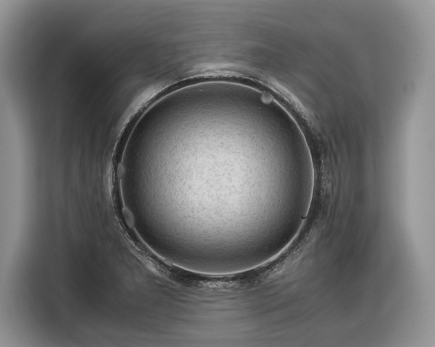 X0000116371277200912091230