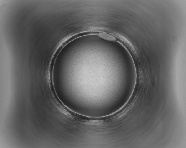 X0000116371280200912091230
