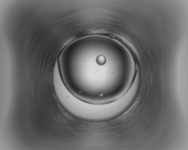 X0000116371281200912091230