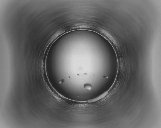 X0000116371282200912091230
