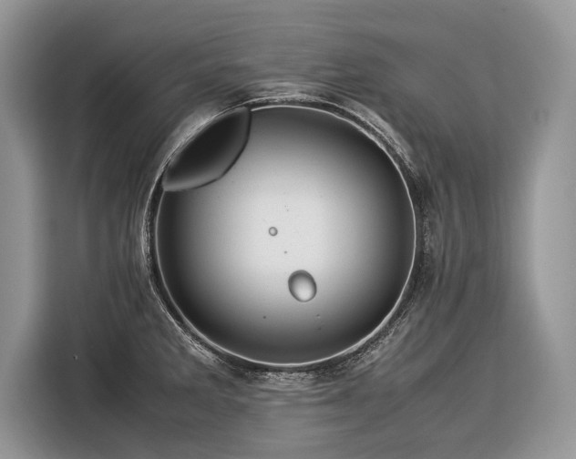 X0000116371285200912091230