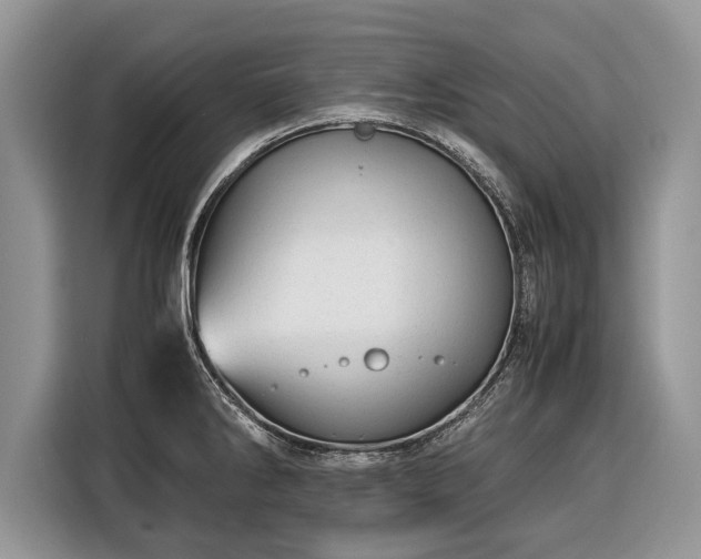 X0000116371286200912091230