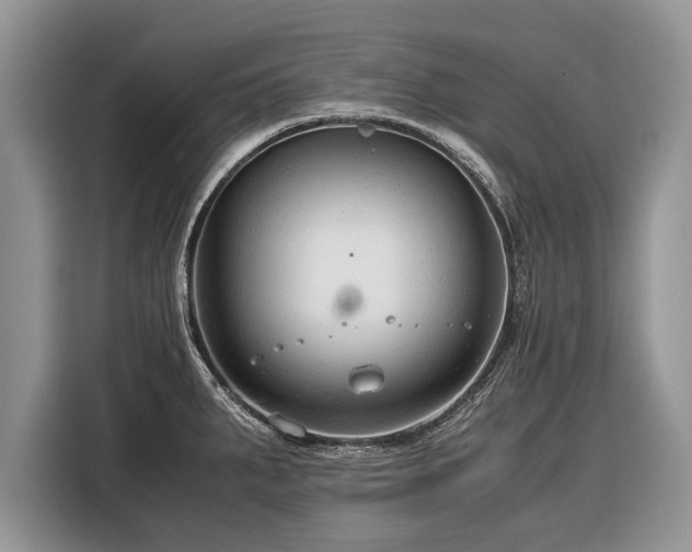 X0000116371287200912091230