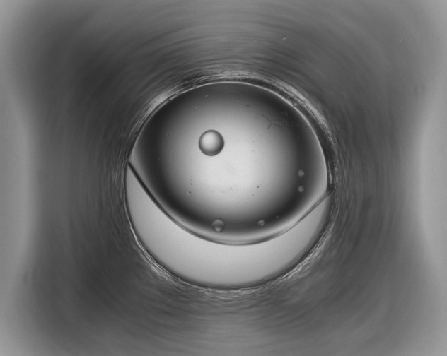 X0000116371289200912091230