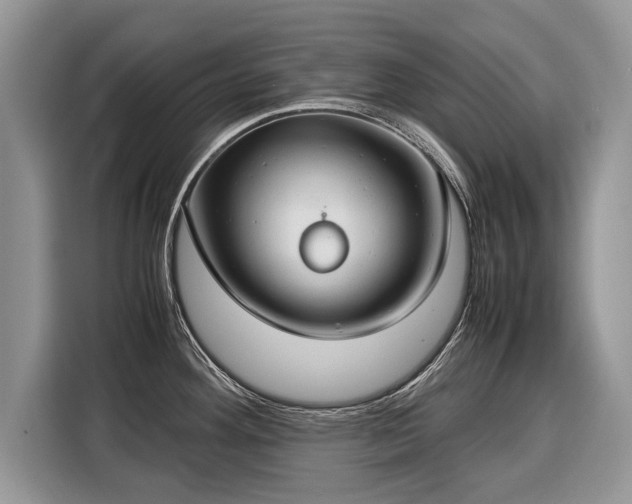 X0000116371292200912091230