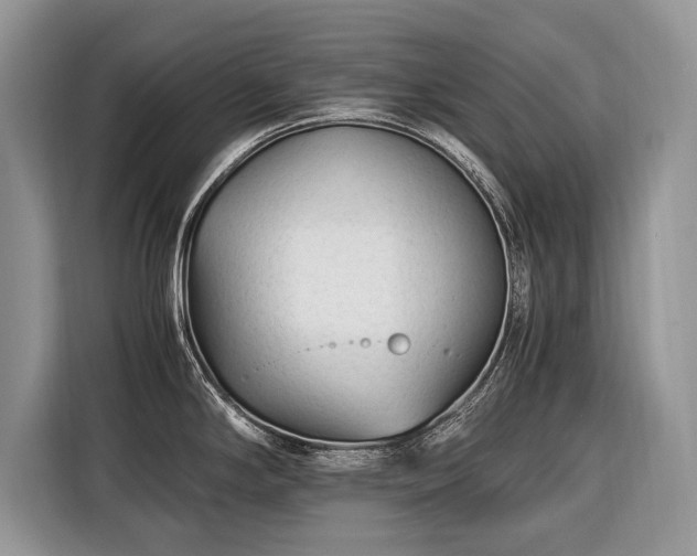X0000116371294200912091230