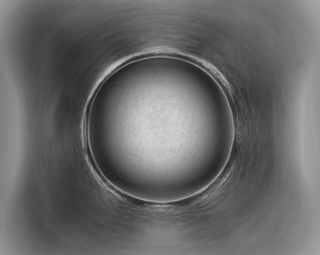 X0000116371295200912091230