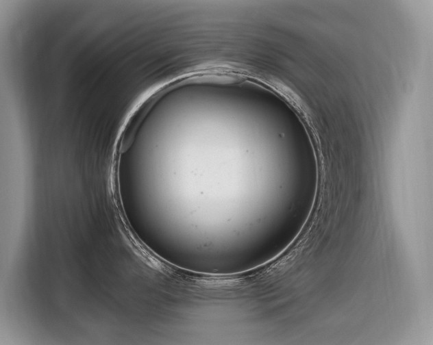 X0000116371296200912091230