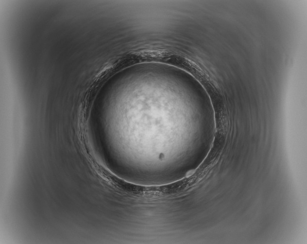 X0000116371297200912091229