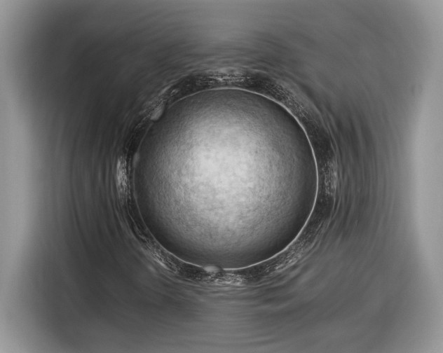 X0000116371298200912091229