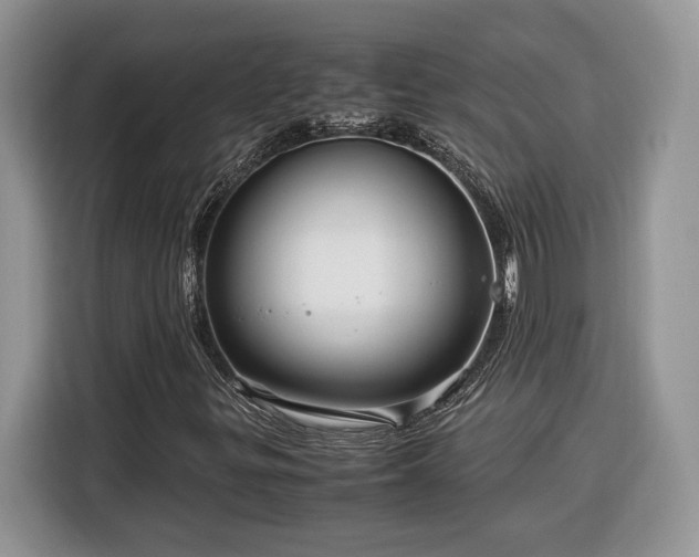 X0000116371299200912091229