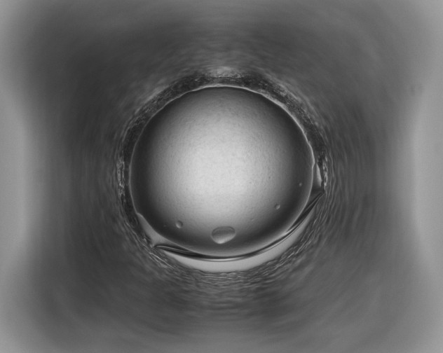 X0000116371301200912091229