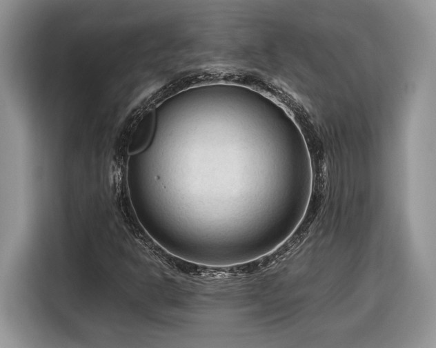 X0000116371302200912091229