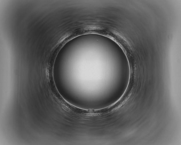 X0000116371305200912091229