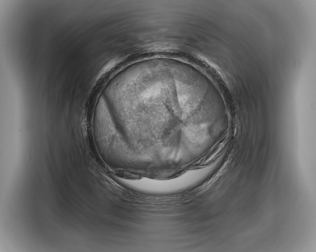 X0000116371306200912091229