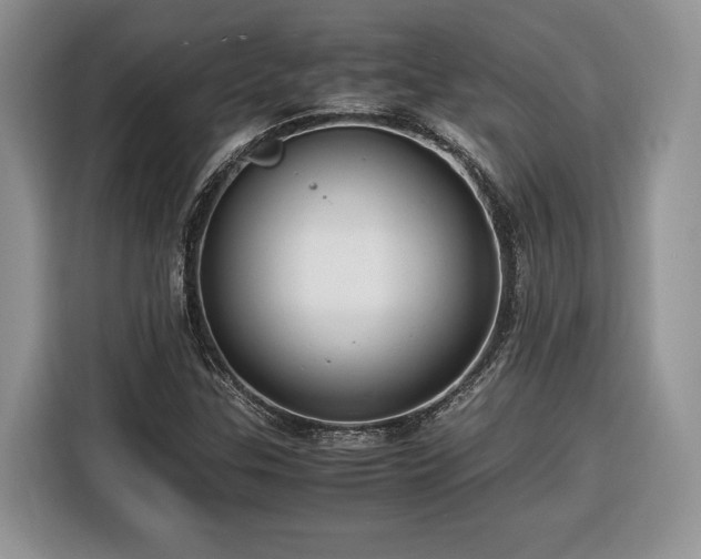 X0000116371307200912091229