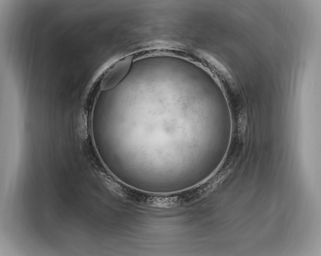 X0000116371310200912091229