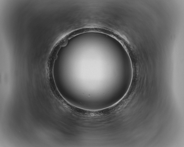 X0000116371311200912091229