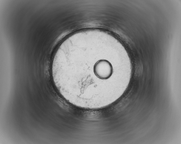 X0000116371314200912091230