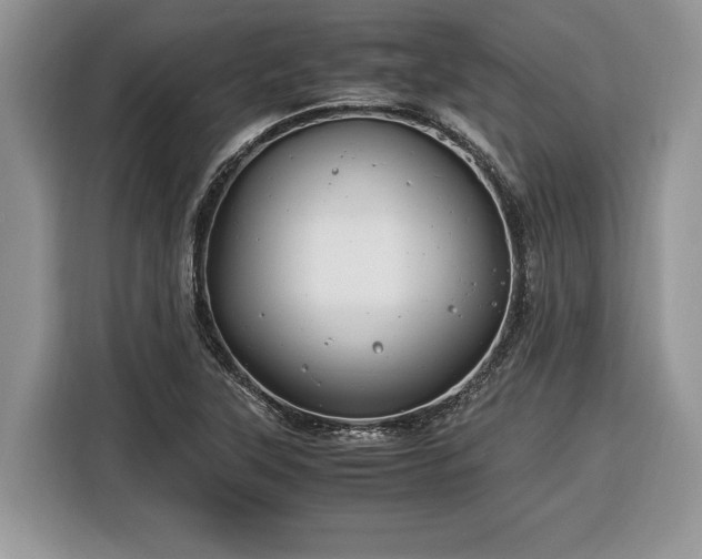 X0000116371315200912091230