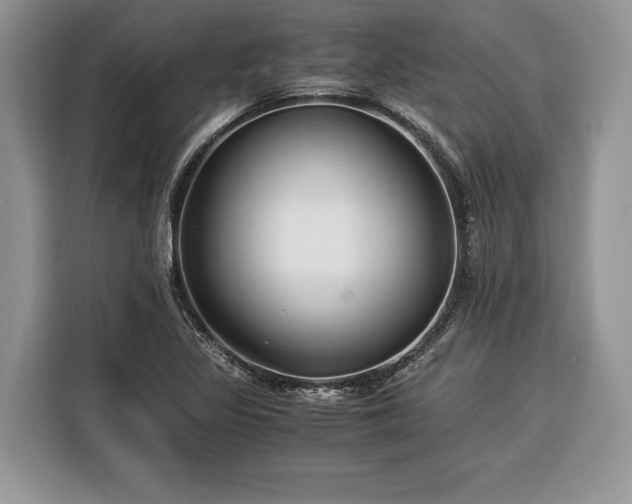 X0000116371317200912091230