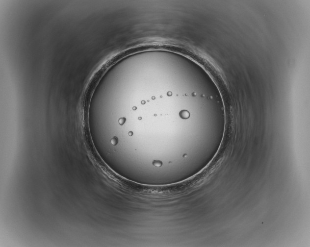 X0000116371318200912091230