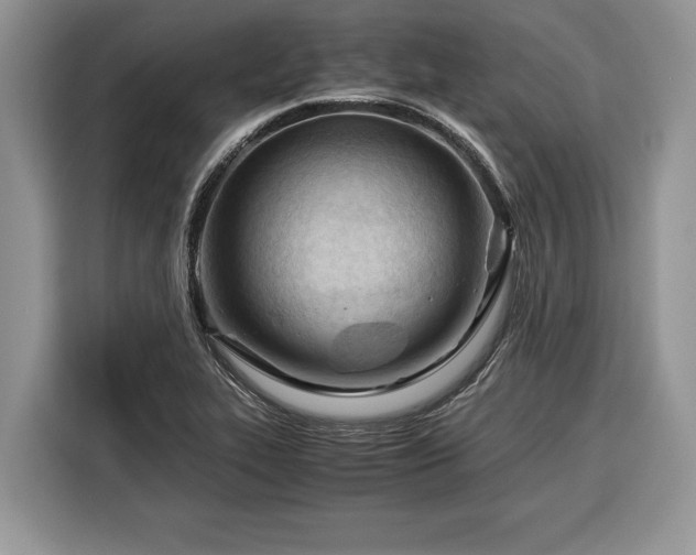 X0000116371319200912091230