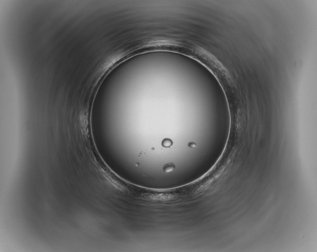 X0000116371321200912091230