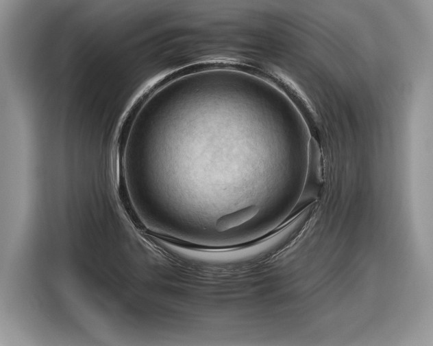 X0000116371323200912091230