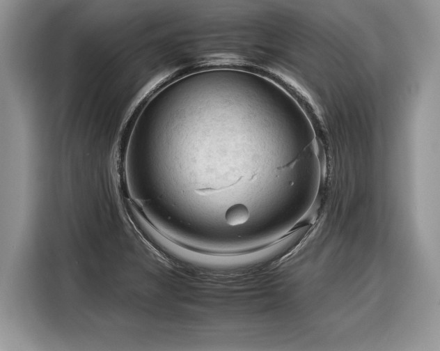 X0000116371325200912091230