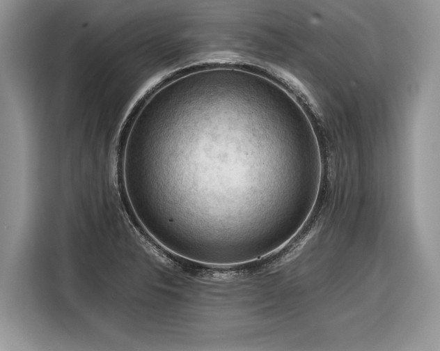 X0000116371326200912091230