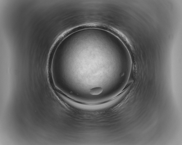 X0000116371327200912091230