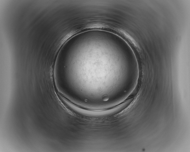 X0000116371329200912091230