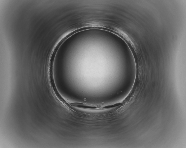 X0000116371331200912091230