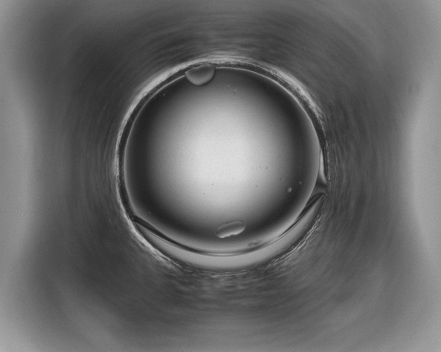 X0000116371335200912091230