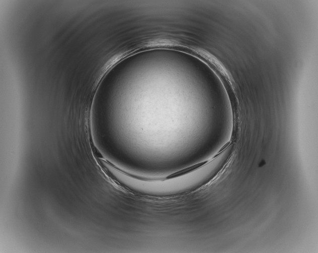 X0000116371337200912091230