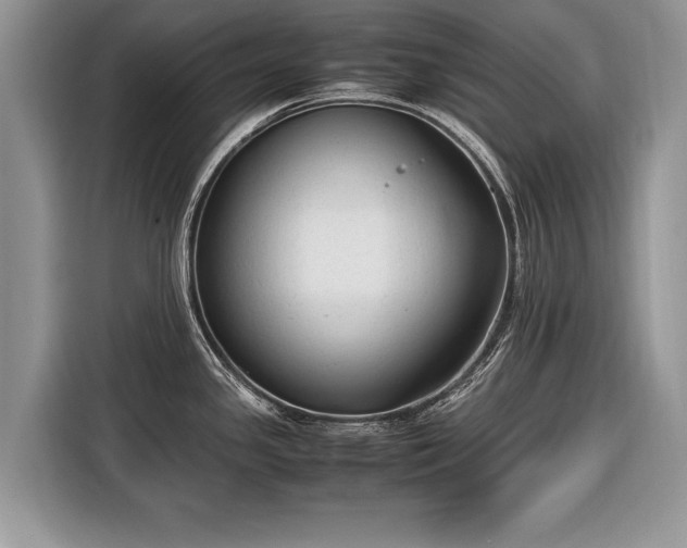 X0000116371341200912091230