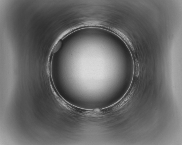 X0000116371342200912091230