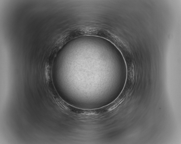 X0000116371346200912091229