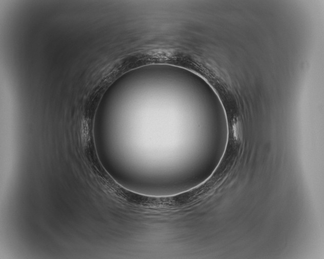 X0000116371347200912091229