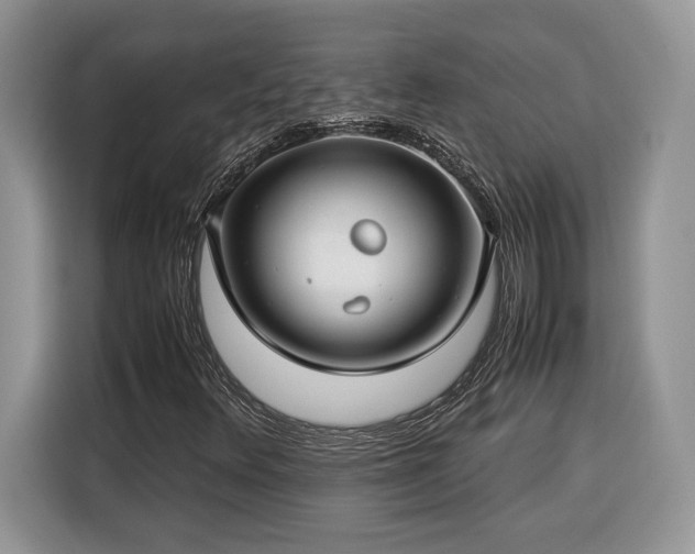 X0000116371348200912091229