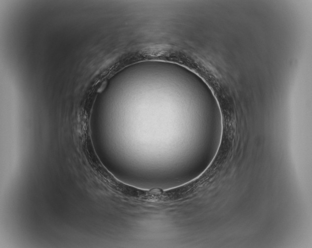 X0000116371349200912091229