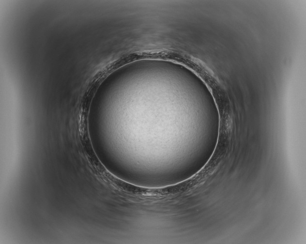 X0000116371350200912091229