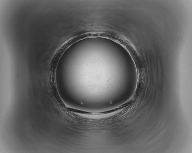 X0000116371352200912091229