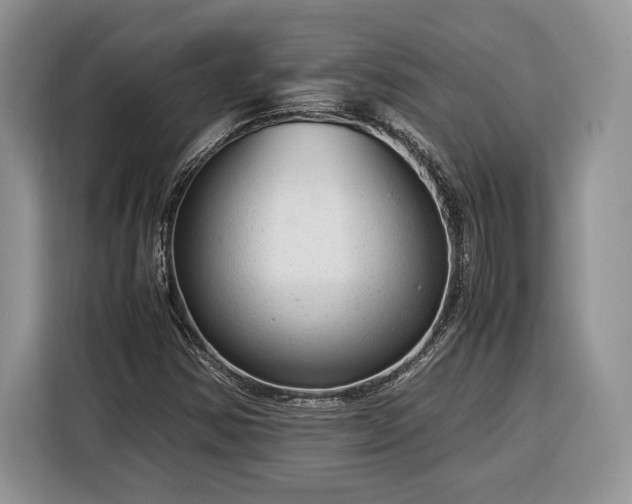 X0000116371354200912091229